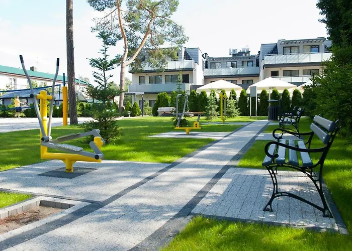 Cristal 德兹维济诺